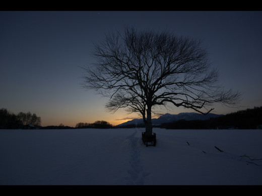 48817 (a): :1600x1200